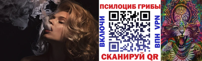 где купить наркотик  Богородицк  Галлюциногенные грибы Magic Shrooms 
